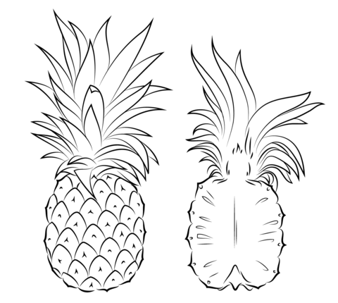 Pineapple And Cross Section Coloring Page